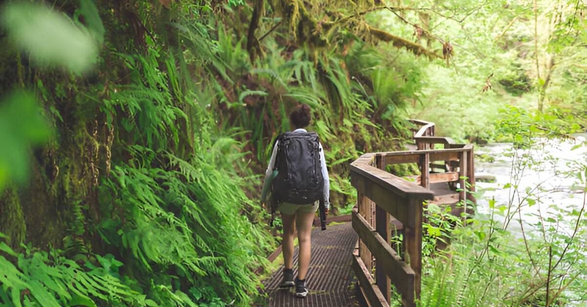 Eco-Friendly Travel in the USA